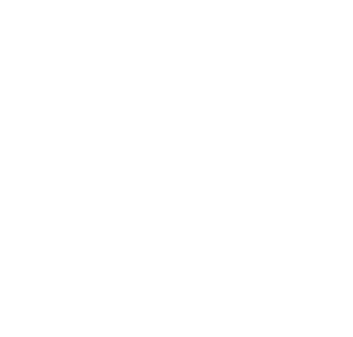 MSI Texas